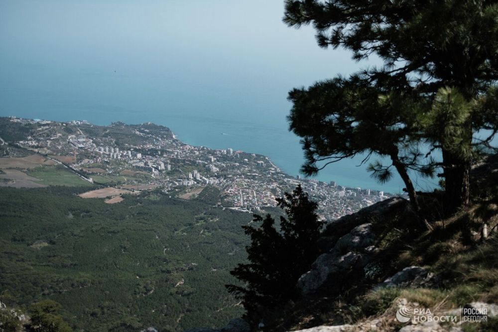 � ����� �������, ��� ���� ��������� ������ ���������� ��� ������� � �������