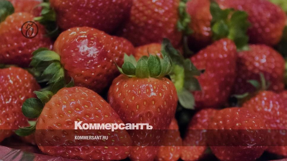 � ���� �� ���������� ������� �������� �������� ��������