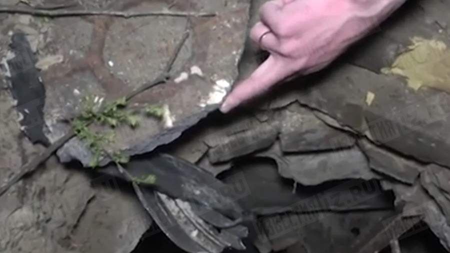 �� ����� ������� ������ � ������� ����� ������ � �������� �������