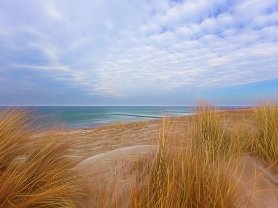 ������������� ���������� ������� ����������� �������� ���� �� ������-��������� ������