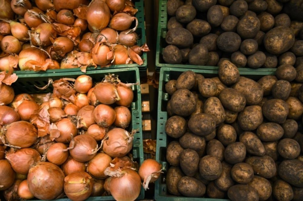 �� ������������ ����������� ����������� ������� ��������� ��������� �����