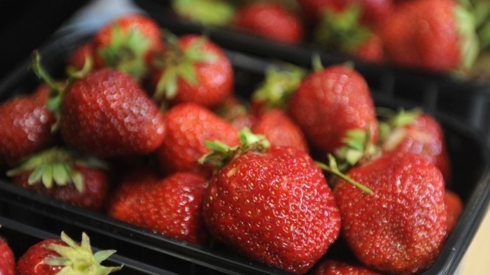 � ���� �� ���������� ������� �������� �������� ��������