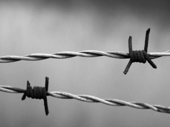 ��� "�������": ���������� ������� ����� �������� ��� ��������