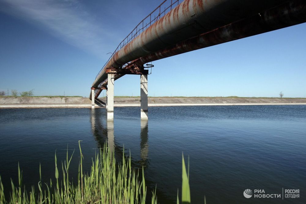 � ����� � �������� ����������� ���� ����������� ����������� ����