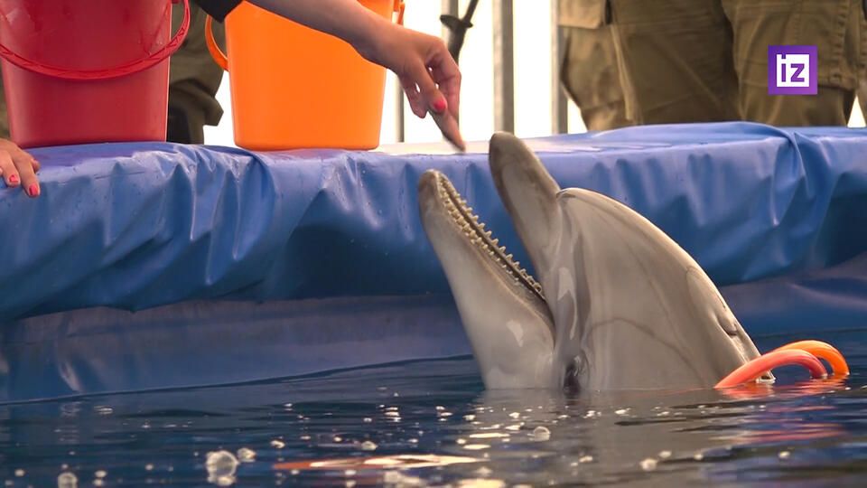 ������������ ��������� ���� �� ����� ��� ��������� ��� ��������