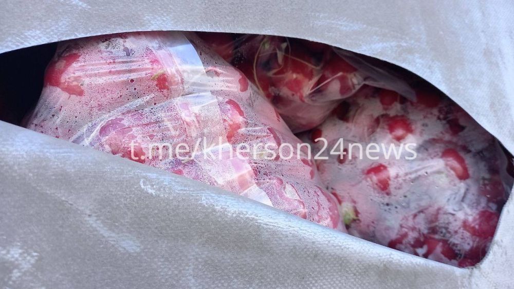 ������ ����� �������� ����������� ����� �������� ���������� ������� ��� ��������