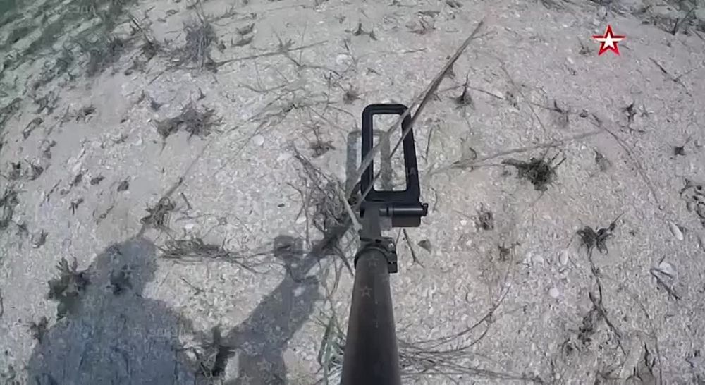 ���������� ������ �������� ������ ���������� ��������������� ���� �� ��������� � ���������� �������