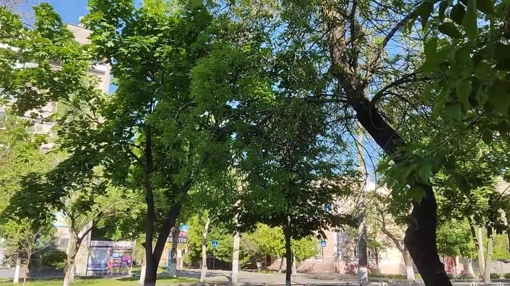 Видео из мирного опрятного Херсона от блогера Сергея Мороза