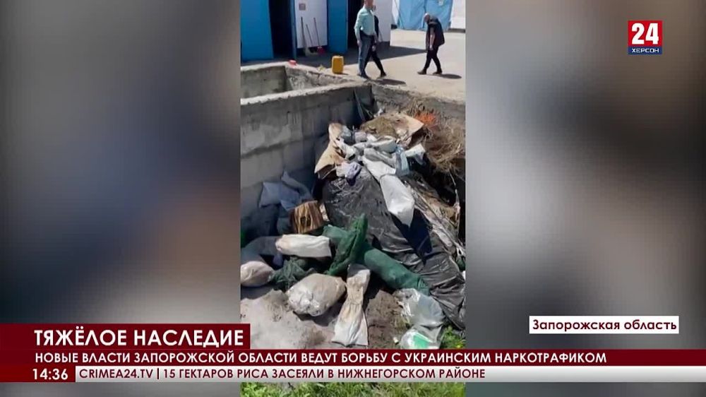 ����� ������� ������ ������������ ������������� ���������� ���������� ����� ������ � ������ � ���������� ��������� - �������������, ����������� � ����������������� ��������, ��������� ����������� ���������� ������� ����������� ������� ������� ���������