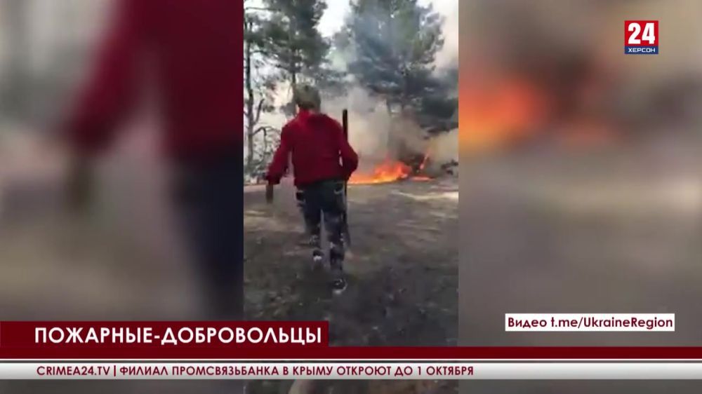 � ���������� ������� �������� ����� �� ������� ������ �������