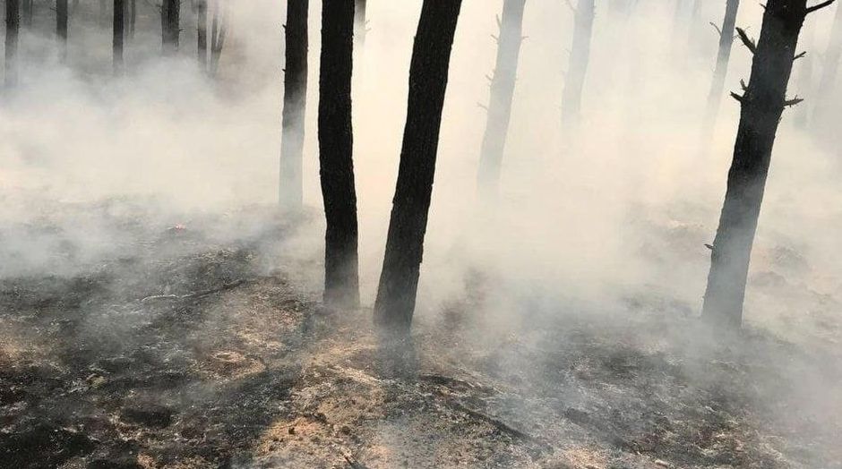 �� ���������� ������� ������ ����� ������ ������� ����