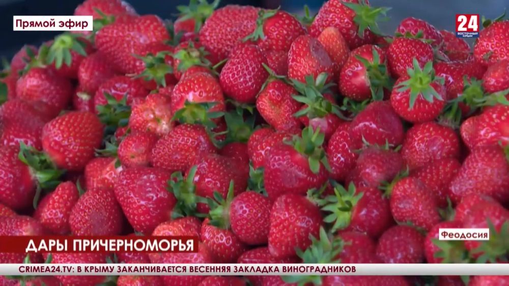 ����� ��������� �������������. � �������� ����� �������� ������ � �������� � ������� �� �������