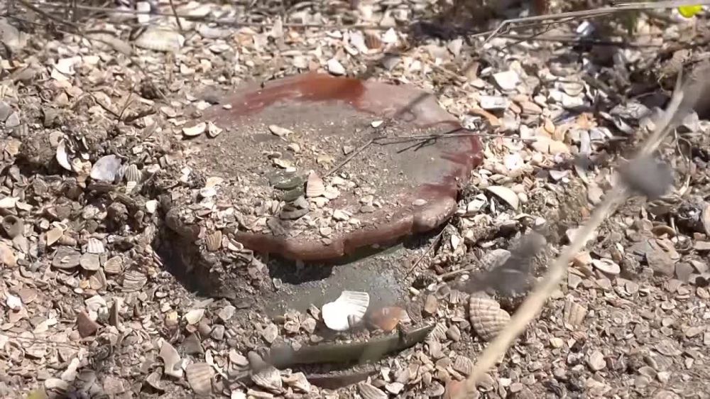 ����� �������������� ���������� ������� ����������� ��������