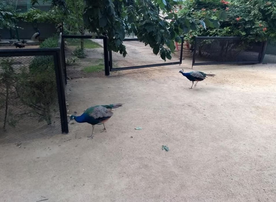 � ���������� ������� �� ������� ��������� � ������� ��� ���� � ������� � ���������� ��������-���� ����������� ������� ���������