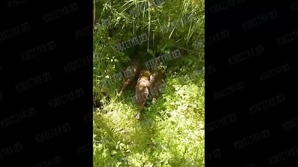 � ���������� ������� � ������ ����� �������� ����� ��� ������ ����� ��������������� ������� ������� ������ � ���������� ������� ��