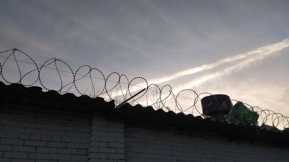 ���������� �������� ������������� ������� ������ ����������� � ���� �������