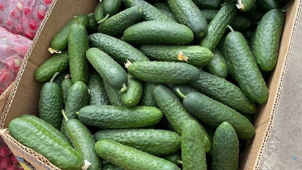 ��������������� �� ������� ������ ���������������� � ��������� �����