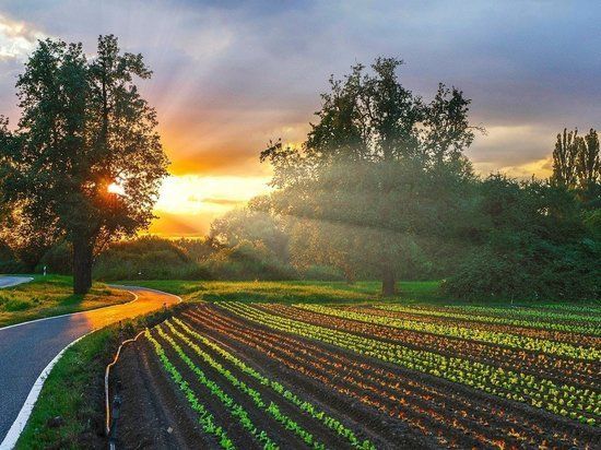 ���������� ��������������� ������ ������� ����������� � ��������� ������ � �����