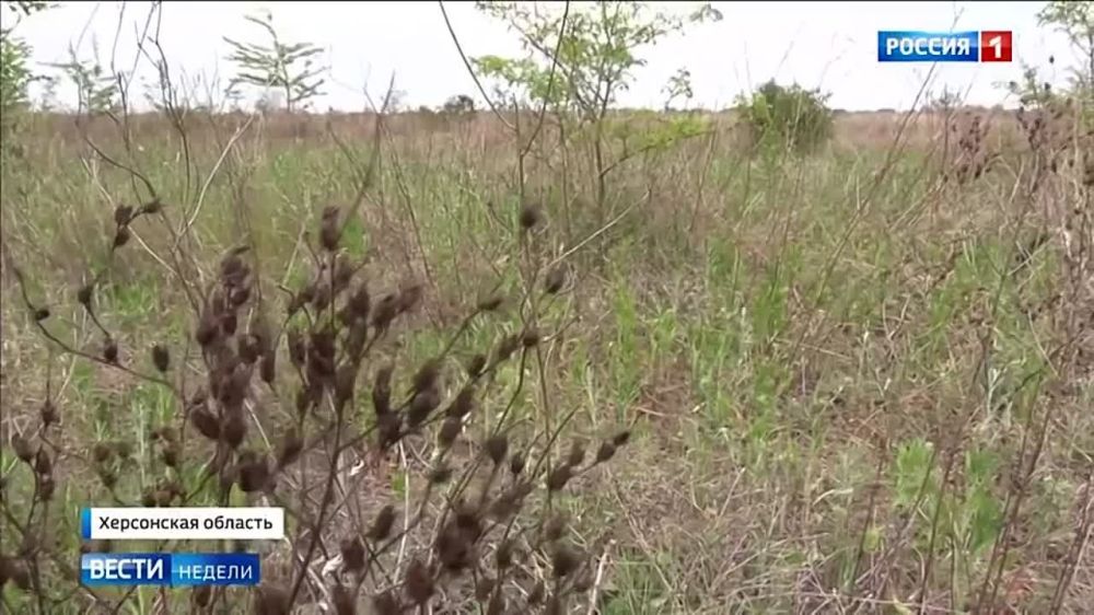 �� ���� ������������ ������������������� ��������� � ���������� ������� ������� ��������� �������� ���������. �������...