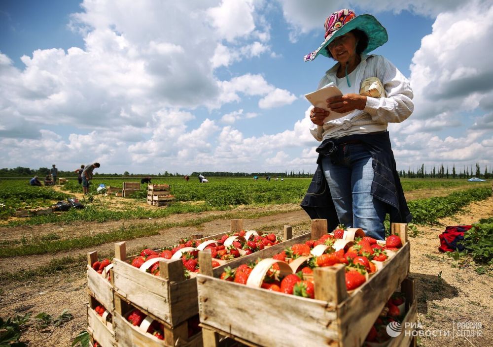 ���������� ������� ������ ���������� ������ ����� 2,5 ������ ���� ��������