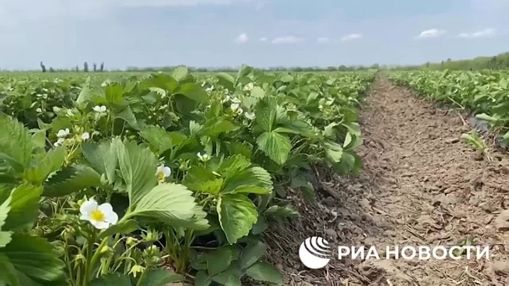 ���������� ������� ������ ���������� � ������ ����� 2,5 ��� ���� �������� �� �����, ��������� ��� ������� ������������� ������ �� ���������� ����������� ���������� ������