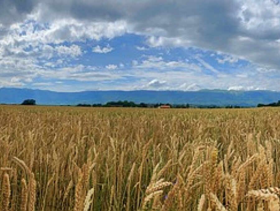 ������ ������� �������� �������� �������� �� ����������