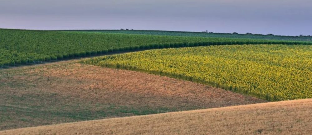 �������� ����� � ���������� ������� ������� � ���������� �� 95%