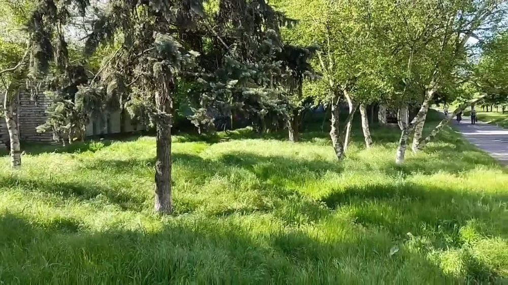 Украинские националисты разрисовали город изображениями трезубцев