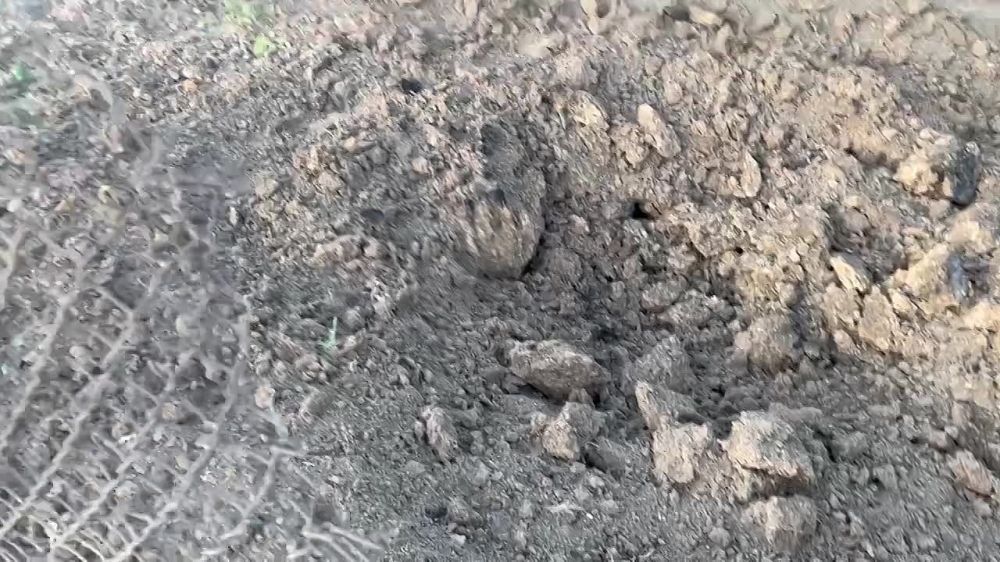 � #������ #����������� ���������� ������� ������ ������ �� �������� ������ ���