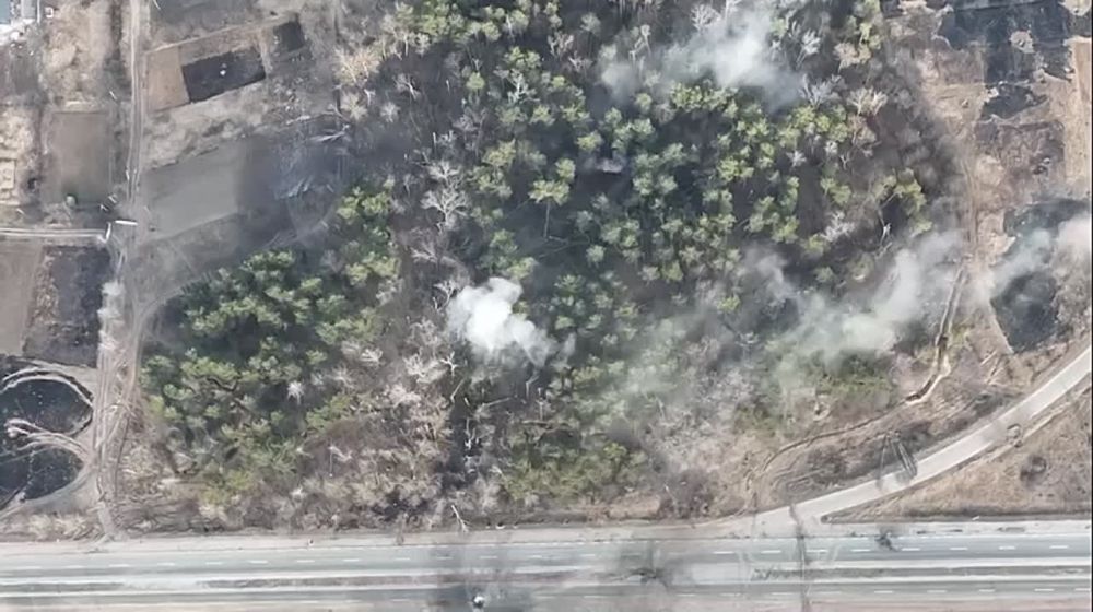 ������� �� �������� ���������� ������, ���� 19 ���: