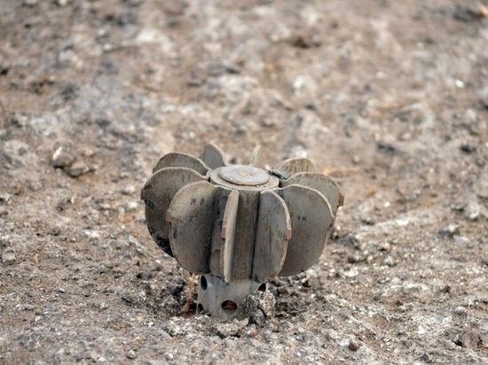 ��� ������������ ���� ������ ������ � ������� �� ������� � ��������