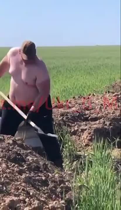 ����������� ���� ������� ��������� ������� � ���������� �������