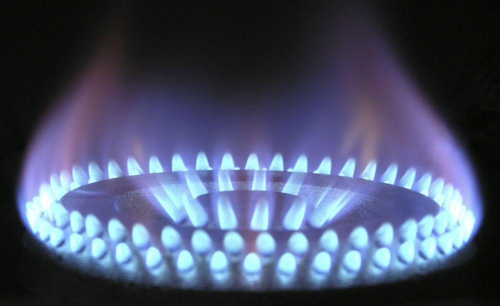 � ��� � ������� ����� ������� ������ �� �������-������������ ������