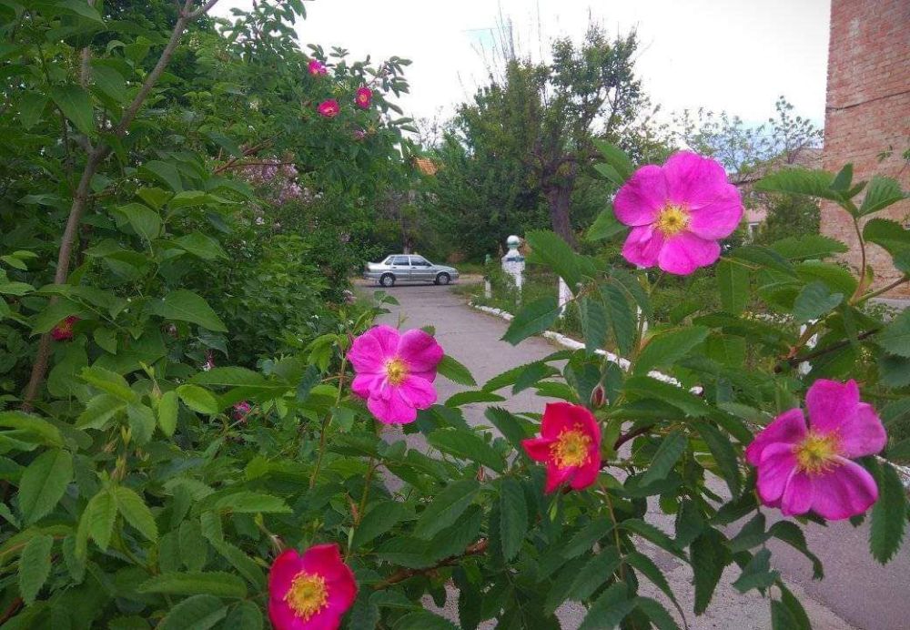 ��������� ������������� ������ ������������ ����� �. ����� ������� �������� ������ ������ ������-���� ������ � ������� �����, ����� � ��������� ?