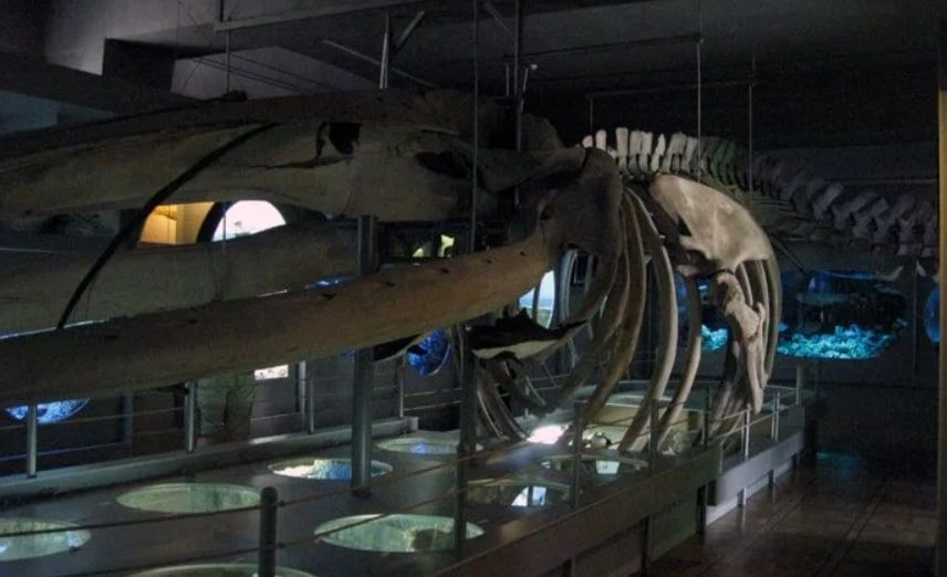 � ������ ���������� ��� ������ ���������� ��������� ������������� ����� ������� ���� �������� ������