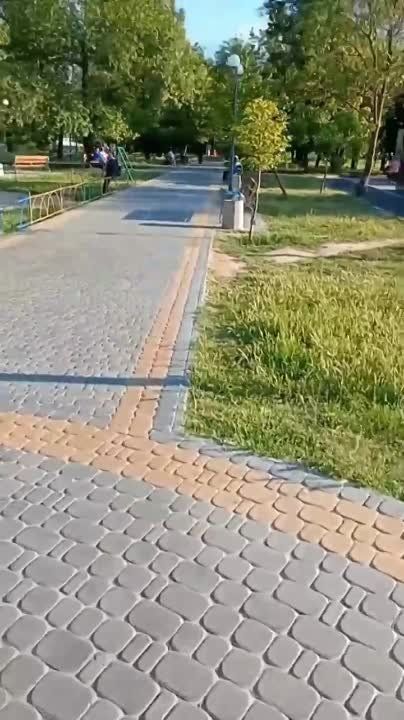 ����� ������ ����������� ������� �������