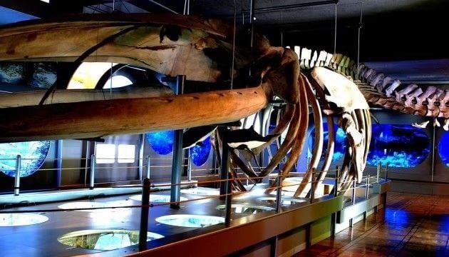 � ������� 21 ��� � ������ ���������� ��� ������ (���������� 18 ���, ���������� ����������� �� ��������� � ���� ���� �������) ���������� ��������� ������������� ����� (����) ���������� ���� �������� ������