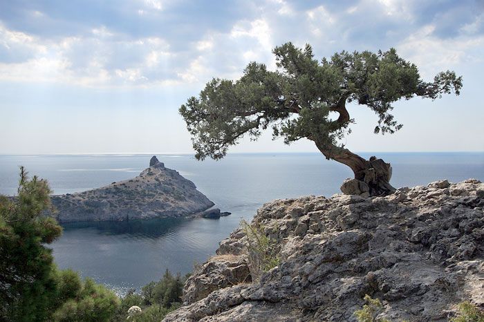 � ���������� ������� ������ ������������� �������� ����