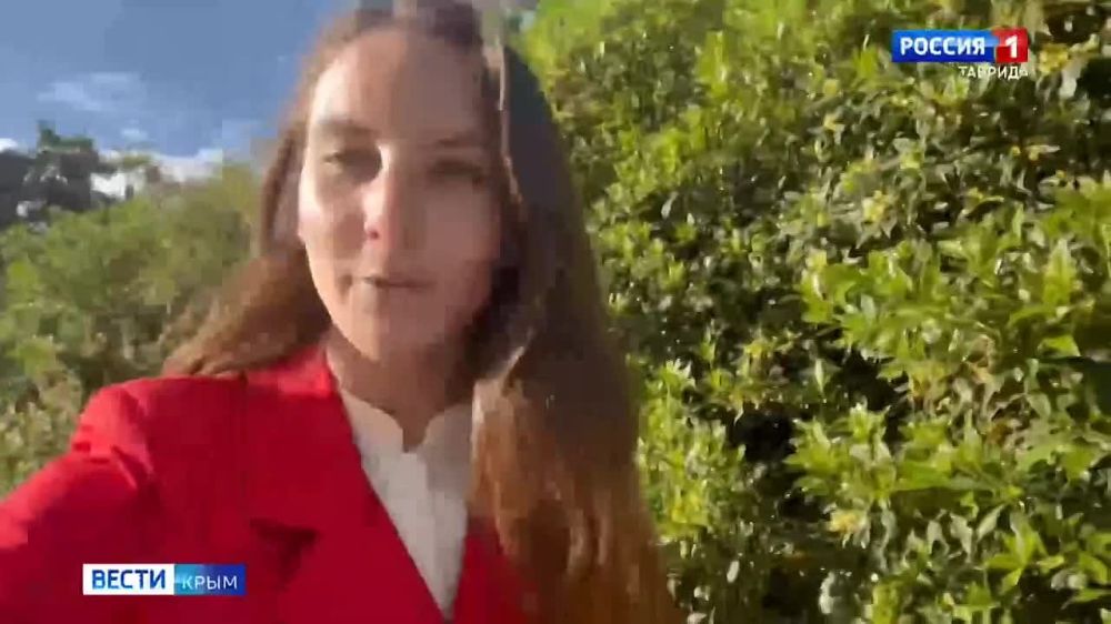 ����� �������������-������������� ��������� �������� ������