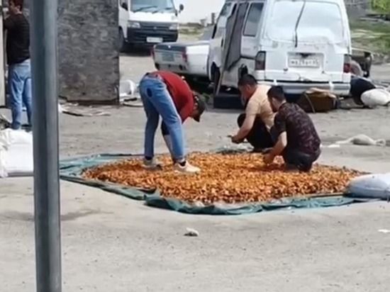 ����������� ������ � ����� �� ����������� ����� �� �������� �� ��������