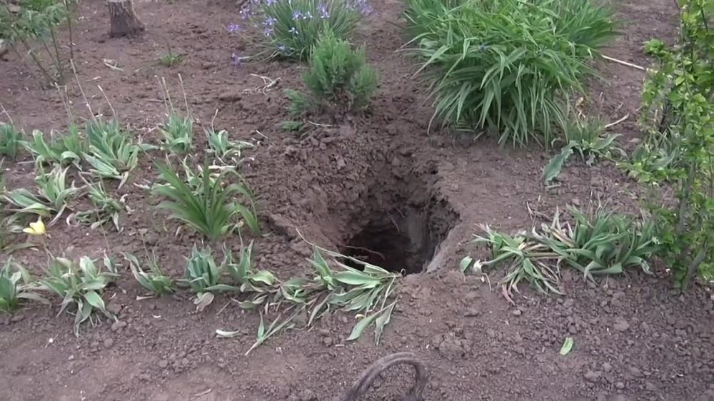 ��� ���������� ������ ������� ������ �������� � ���������� ������� �� ����, ������� 2 ��������