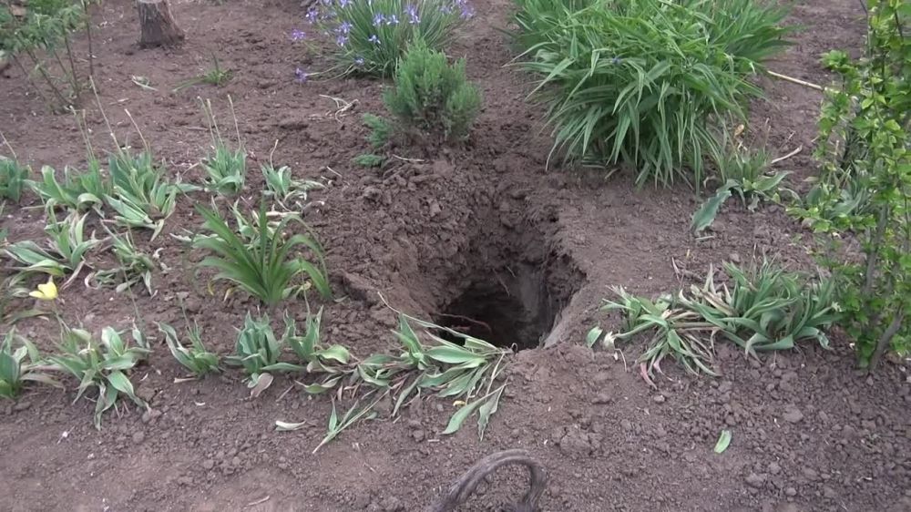 ��� ��������, � ��� ����� 14-������ ���������, ������� � ����� ������ �������� ������� ��� �������� ���� ��������� � ���������� ������� ����������� ���������, �������� � ���������� ��