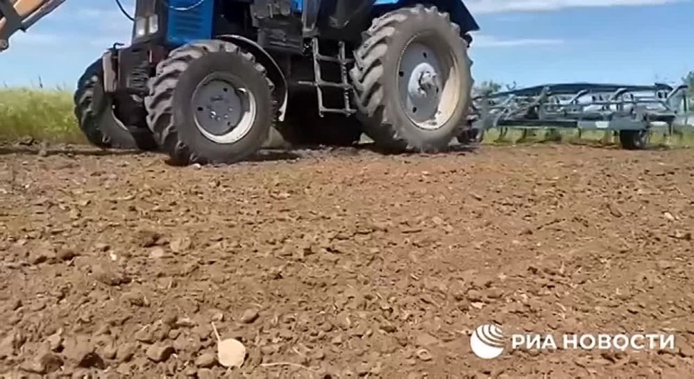 ������� �������� ����� �� ������ � ����� ����������� ��������, ��������� ��� ������� �������� ����������� ��������� � ���������� �������