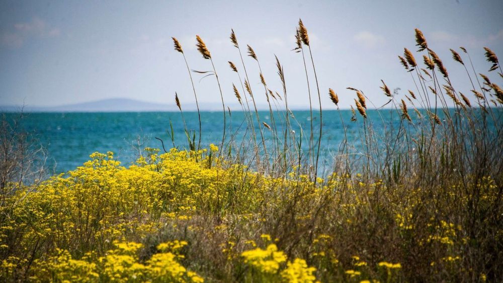 � ����� ���������� � ����� ������� ��������� ����