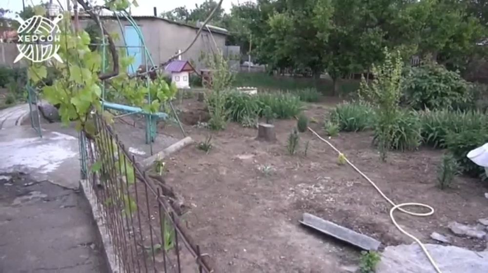 ����� ����������� ����������� �������� ����������� �������������� ������� ��������� � ���������� �������