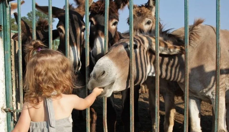 ������������ ������ ��� �������� ���������� �� ������ � ������, ���������� � ������