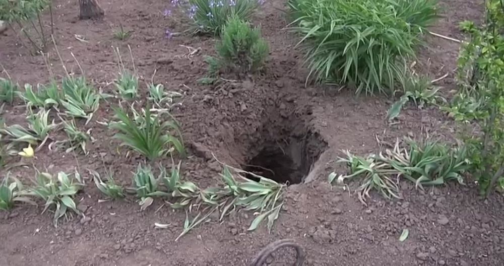 ����� ����������� �������� ��� ���������� ������������ ������� �������� � ���������� �������