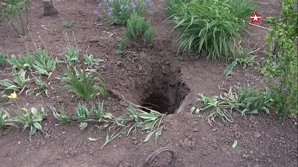 ���������� ������������ ���������� ������� ��������� ���������� ������� ���������� ������������