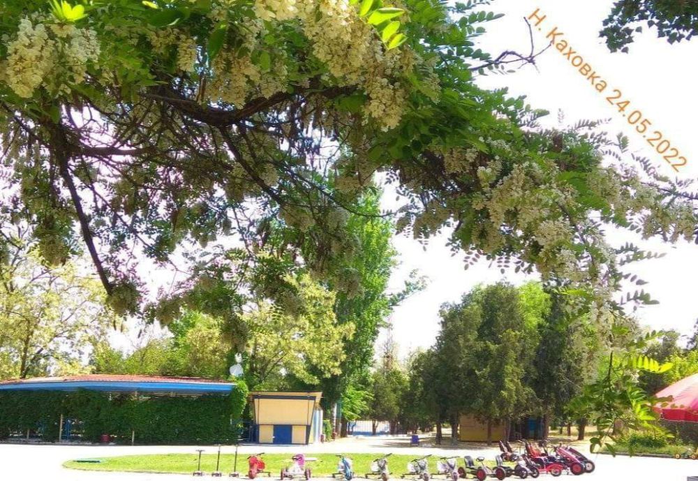 ������ � ����� � ����� �