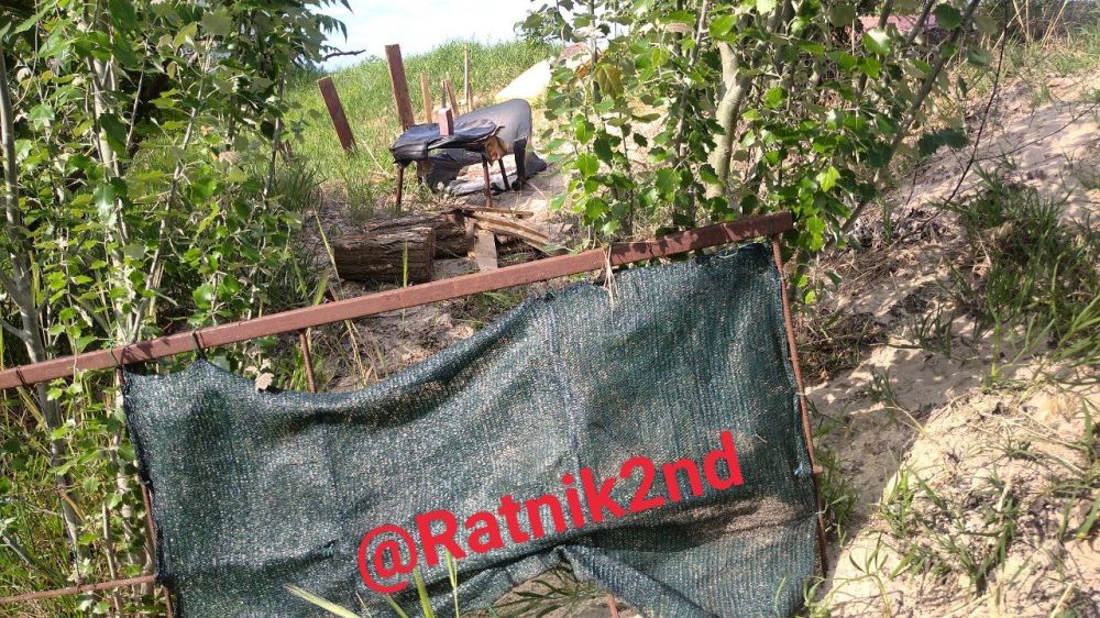 �������� ����